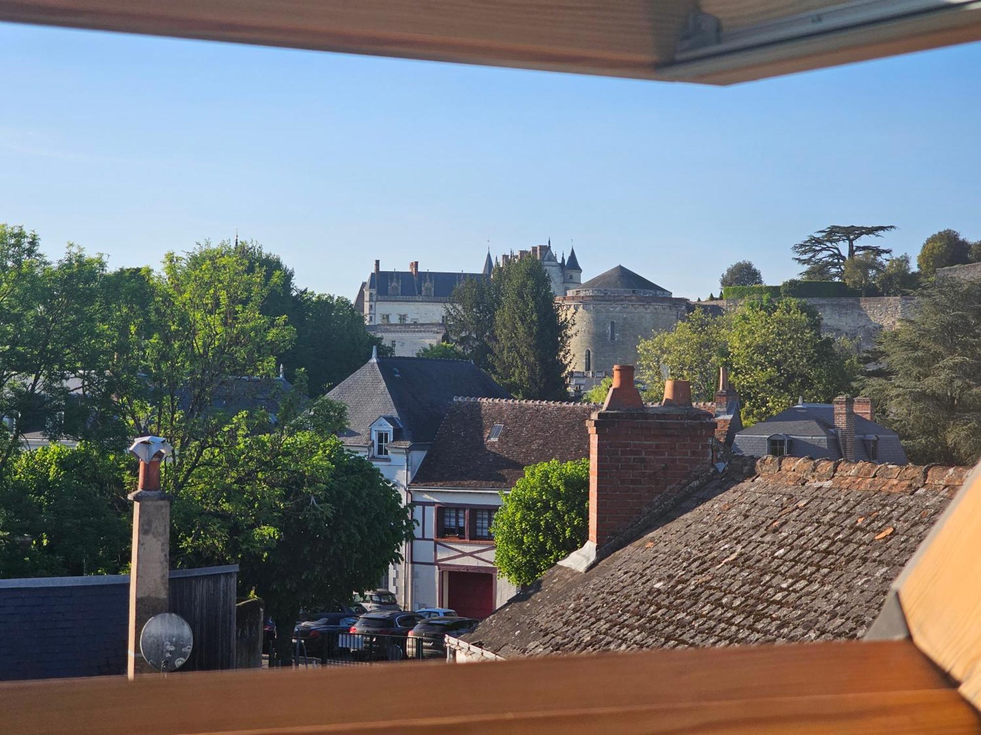 Le Vinci /Maison Pres Du Chateau Amboise Exteriör bild